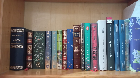 Estantería. Foto propia