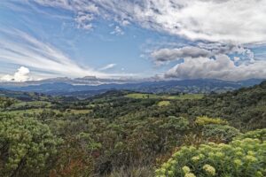 Paisaje verde con montañas