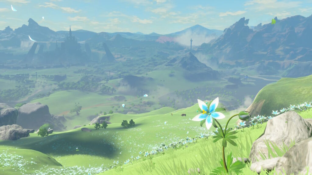 Paisaje de Hyrule en el fondo y una princesa de la calma
